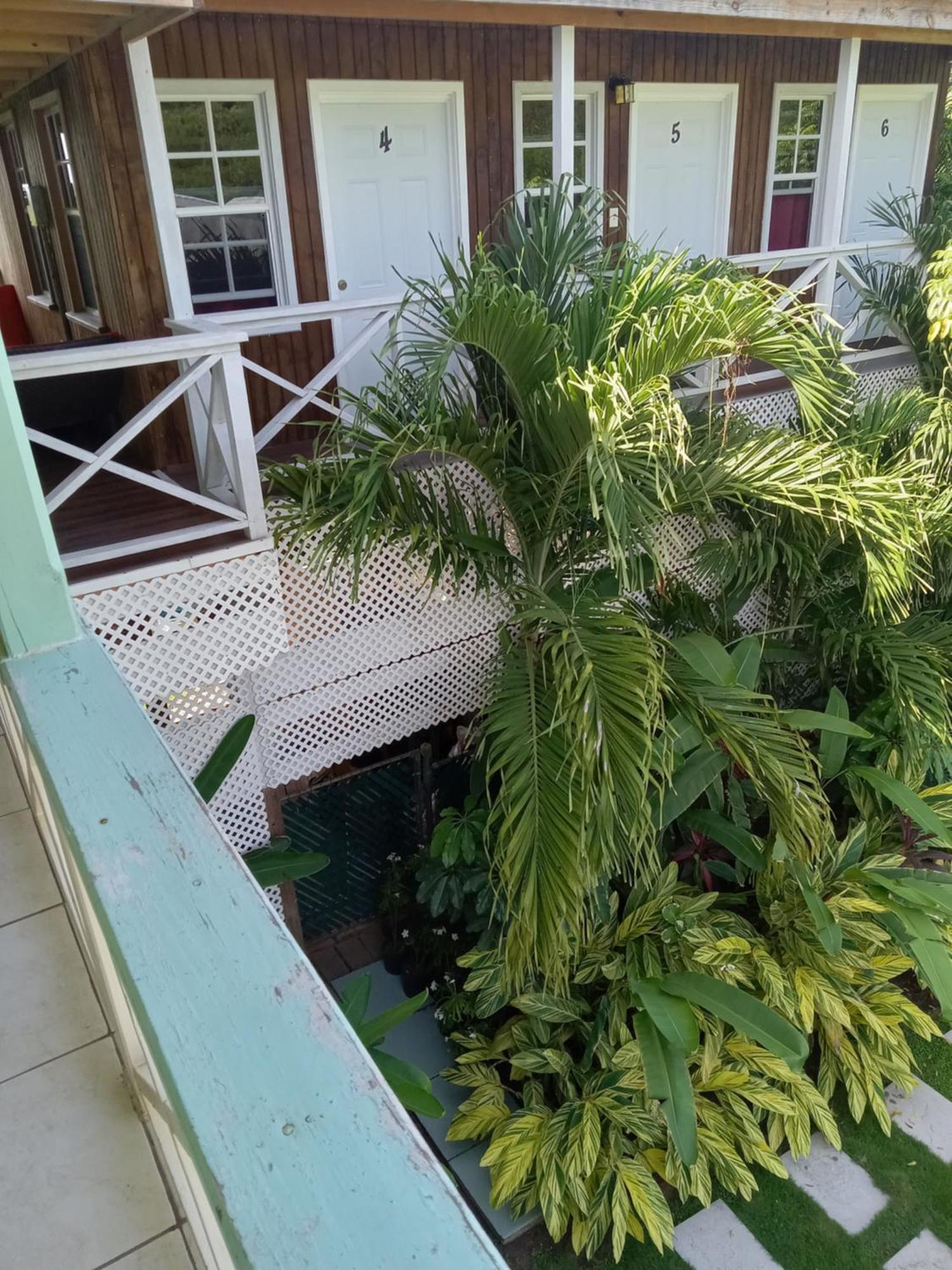 Apartment Unforgetables Gardens Falmouth Harbour Buitenkant foto